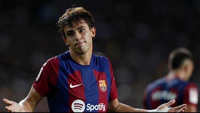 1703463621516045528.jpg feilikesi.jpg