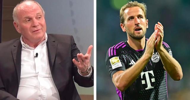 1693011448872012431.jpg 1693011432062.jpg